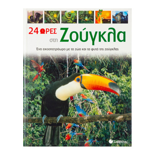 24 ώρες στη ζούγκλα