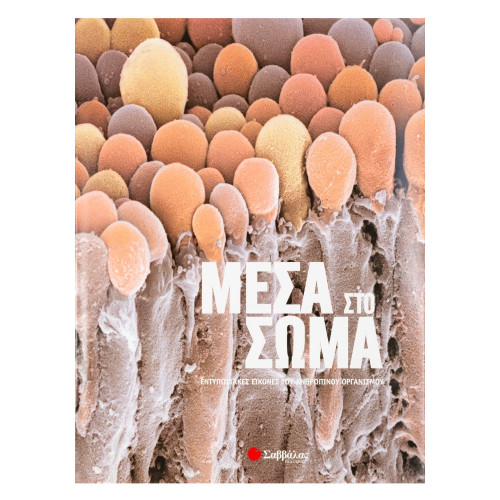 Μέσα στο σώμα